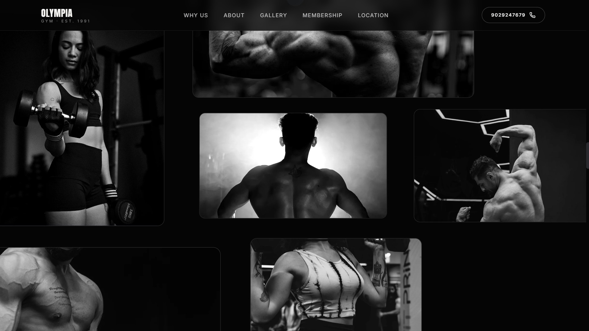 Olympia Gym Fitness Center screenshot 3